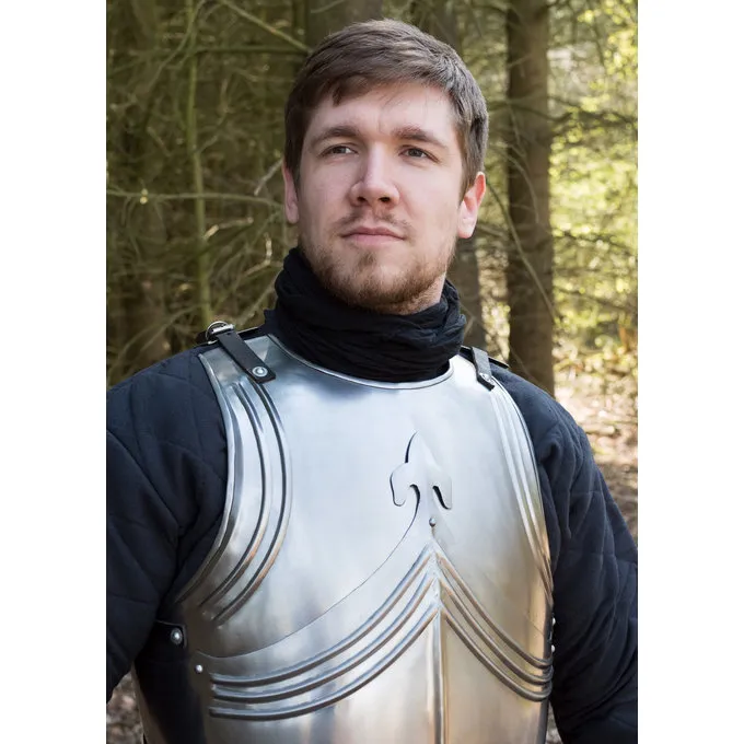 Deepeeka Gotisk Kyrads Med Bagplade Og Tassets - Billede 6