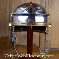 Deepeeka Imperial Galliske Galea F, Vesontio