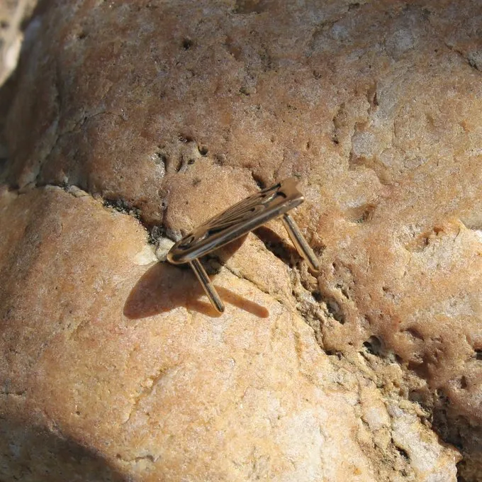 Viking Låsetungen Birka - Billede 4